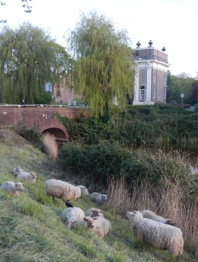 Logies de Zeeuwse Klei, een gezellig jaren 30 huis Middelburg Buitenkant foto